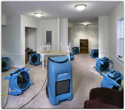 Water Damage Restoration services in Detroit Lakes, MN