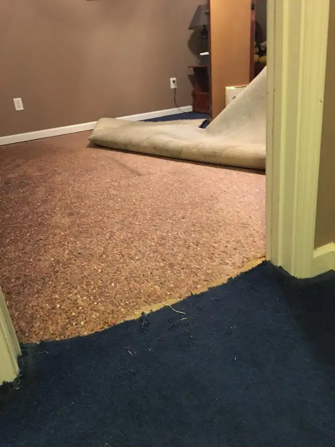 Carpet pad removal revealing water damage during Drying & Dehumidification in Detroit Lakes