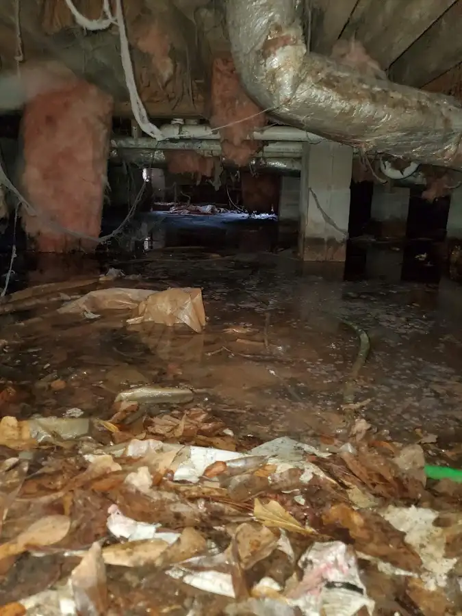 Crawl space flood assessment for Leak Detection & Repair in Detroit Lakes