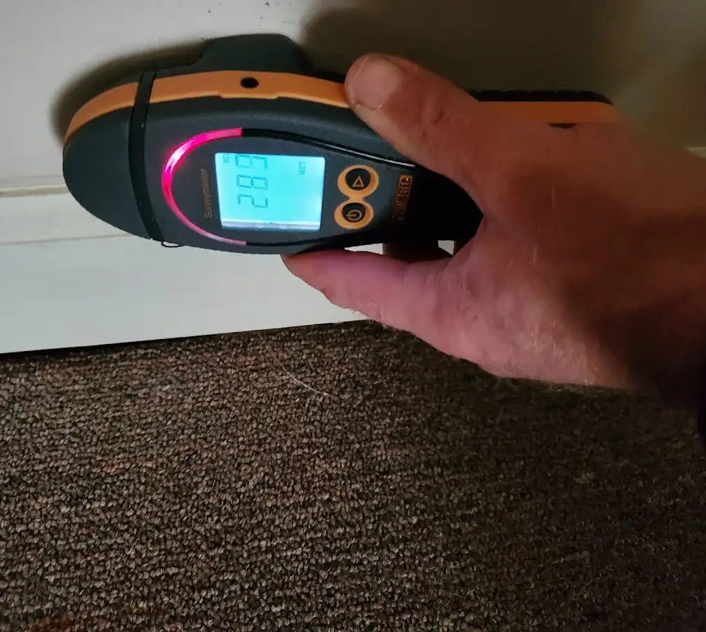 Moisture detection at baseboard during Sewage Cleanup & Sanitation in Detroit Lakes